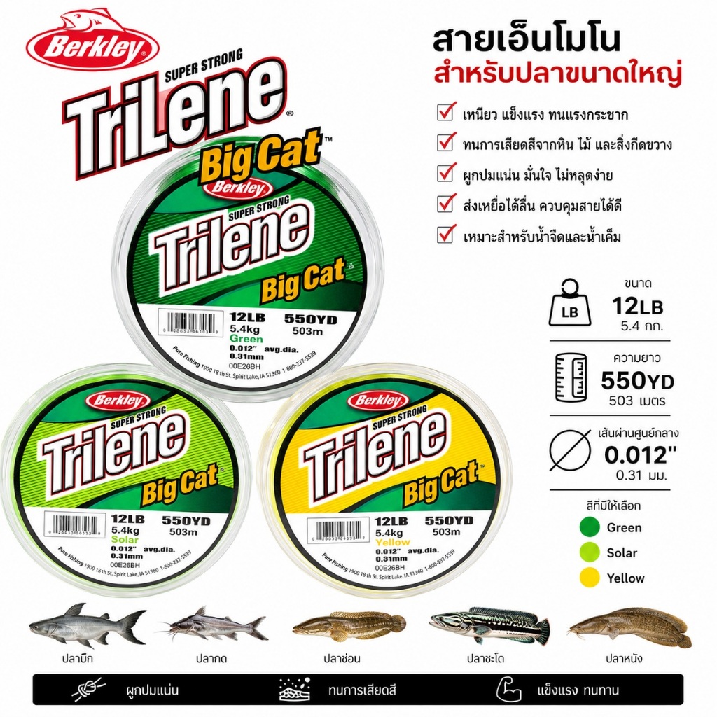 (ส่งทุกวัน) สายโมโน เบิร์คเลย์ ไทลีน บิ๊กแคท Berkley Trilene Big Cat Super Strong Monofilament