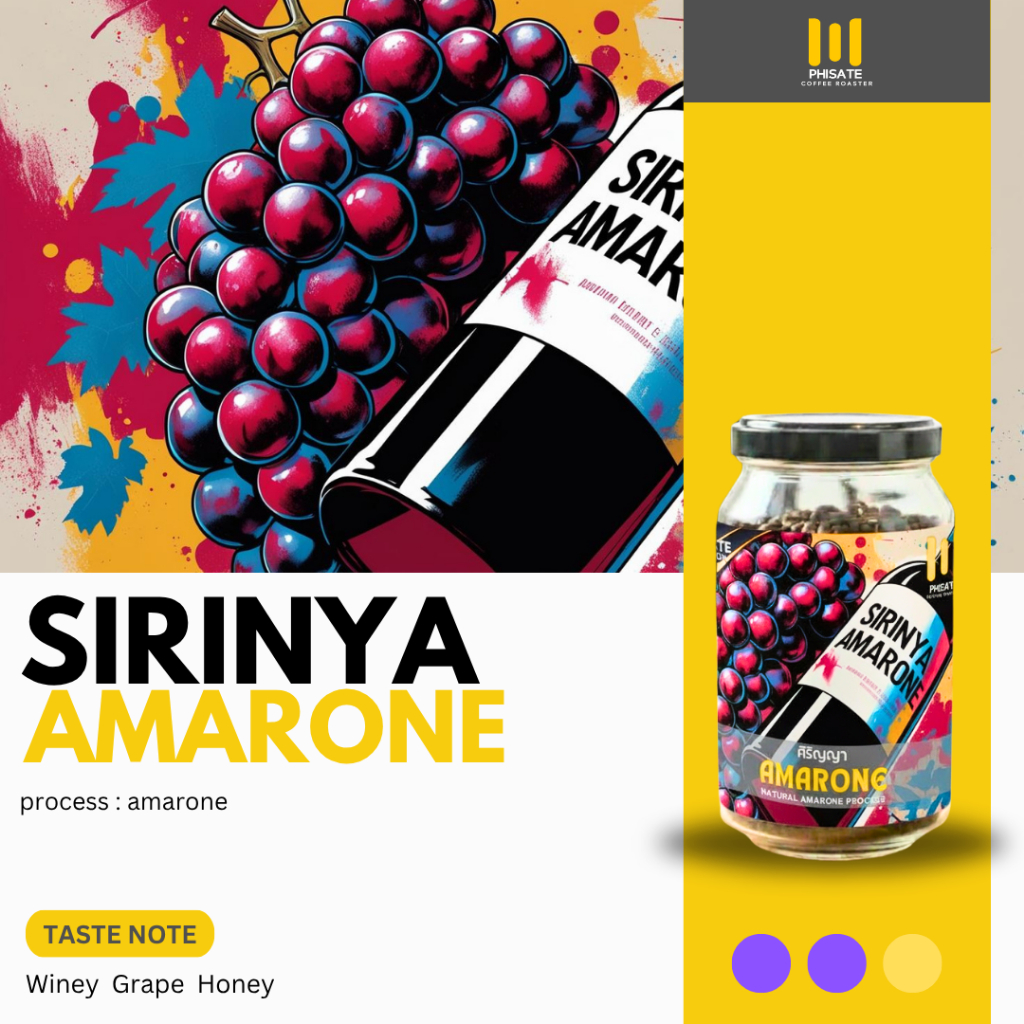 พิเศษ กาแฟ | เมล็ดกาแฟคั่ว ศิริญญา Sirinya Amarone 100 กรัม | โทนไวน์ องุ่น