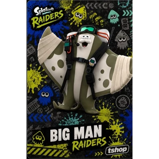 Splatoon 30 ใบแบบซื้อทีละ ใบ ใช้ได้กับทั้งภาค 1 2 3 และ raider