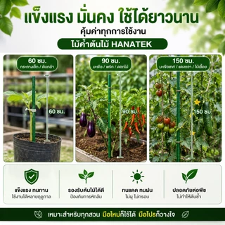 HANATEK ไม้ค้ำต้นไม้ 10 แท่ง เสามะเขือเทศ หลักไม้เลื้อย 11 มม. 60-150 ซม. ทำค้างผัก DIY