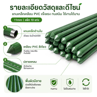 HANATEK ไม้ค้ำต้นไม้ 10 แท่ง เสามะเขือเทศ หลักไม้เลื้อย 11 มม. 60-150 ซม. ทำค้างผัก DIY