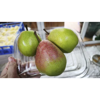 ลูกแพร์แดง (Red Pear) (1KG) เกรดคัดพรีเมียม หวานฉ่ำ หอมละมุน