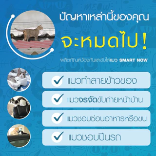 ไล่แมว ไล่แมวจร ป้องกันการขับถ่าย ชนิดผง smartnow