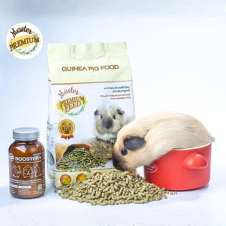 อาหารหนู Master Guinea Pig Food มาสเตอร์ อาหารเม็ดพรีเมียม อาหารหนูแกสบี้ วิตามินหนูแกสบี้ หนูตะเภา หนูเควี่ สัตว์ฟันแทะ