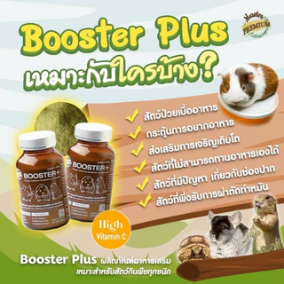 อาหารหนู Master Guinea Pig Food มาสเตอร์ อาหารเม็ดพรีเมียม อาหารหนูแกสบี้ วิตามินหนูแกสบี้ หนูตะเภา หนูเควี่ สัตว์ฟันแทะ