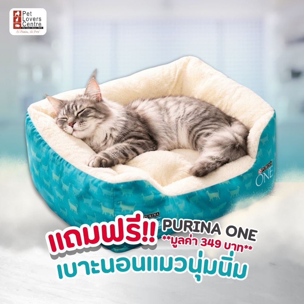 แถมฟรี เบาะนอนน้องแมวสุดน่ารัก เมื่อช้อป Purinaone อาหารเม็ด 10 kg.