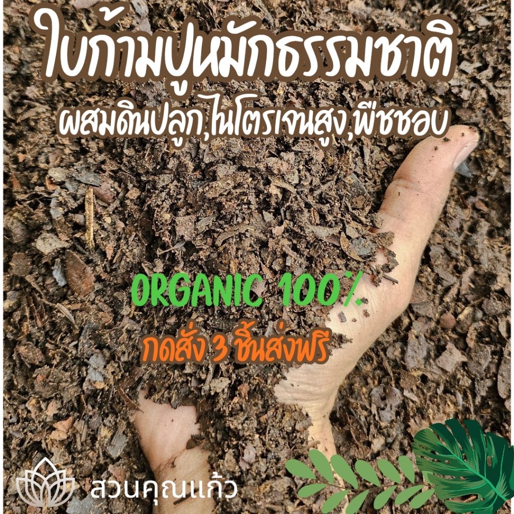 ใบก้ามปูหมัก 5 กก.,10 กก.,12 กก.