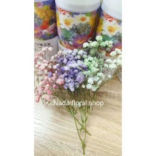 สีสเปรย์พ่นดอกไม้สดสำหรับเปลี่ยนสีดอกไม้มีให้เลือก16เฉดสีขนาด450ml