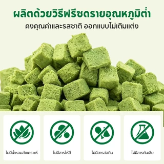 PET RECORD ฟรีซดรายหญ้าแมว 50กรัม ขนมแมวขับก้อนขน สูตรไก่ไข่แดง ช่วยระบายขน บำรุงลำไส้ แมวกินง่าย ไม่ต้องปลูกหญ้าแมว