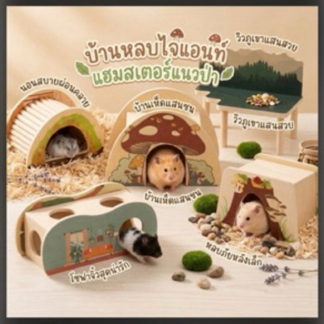 บ้านหลบ ไจแอนท์แฮมสเตอร์ แนวป่า ครบเซ็ต