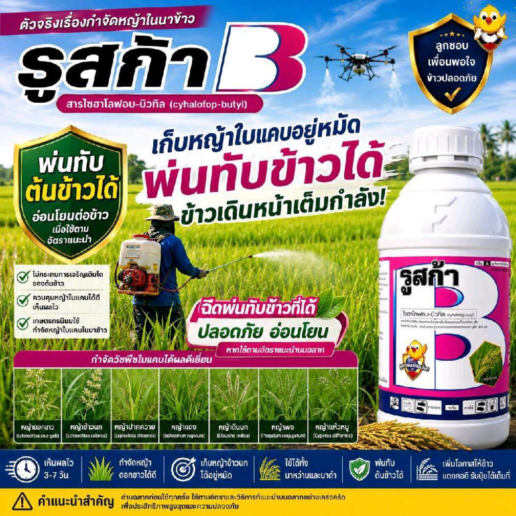 รูสก้า 1ลิตร (ไซฮาโลฟอบ-บิวทิล) กำจัดวัชพืชใบแคบในนาข้าว หญ้าดอกขาวหญ้าข้าวนกหญ้าปากควายหญ้าตีนนกพ่นทับต้นข้าวได้ปลอดภัย