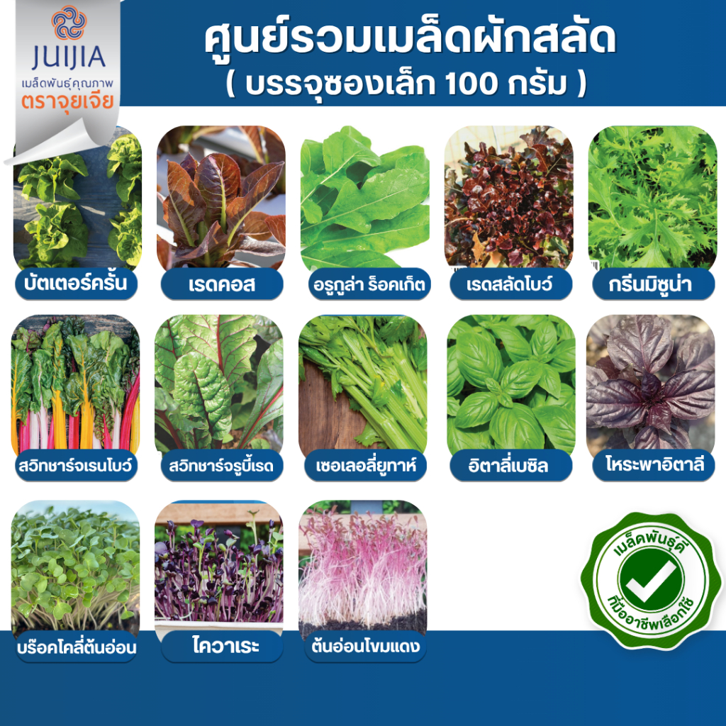ศูนย์รวมเมล็ดพันธุ์ ผักสลัด เมล็ดผักสลัด หลากหลายชนิด เมล็ดพันธุ์ผัก ผักซอง ตราจุยเจีย (ซองขนาด 100 กรัม)