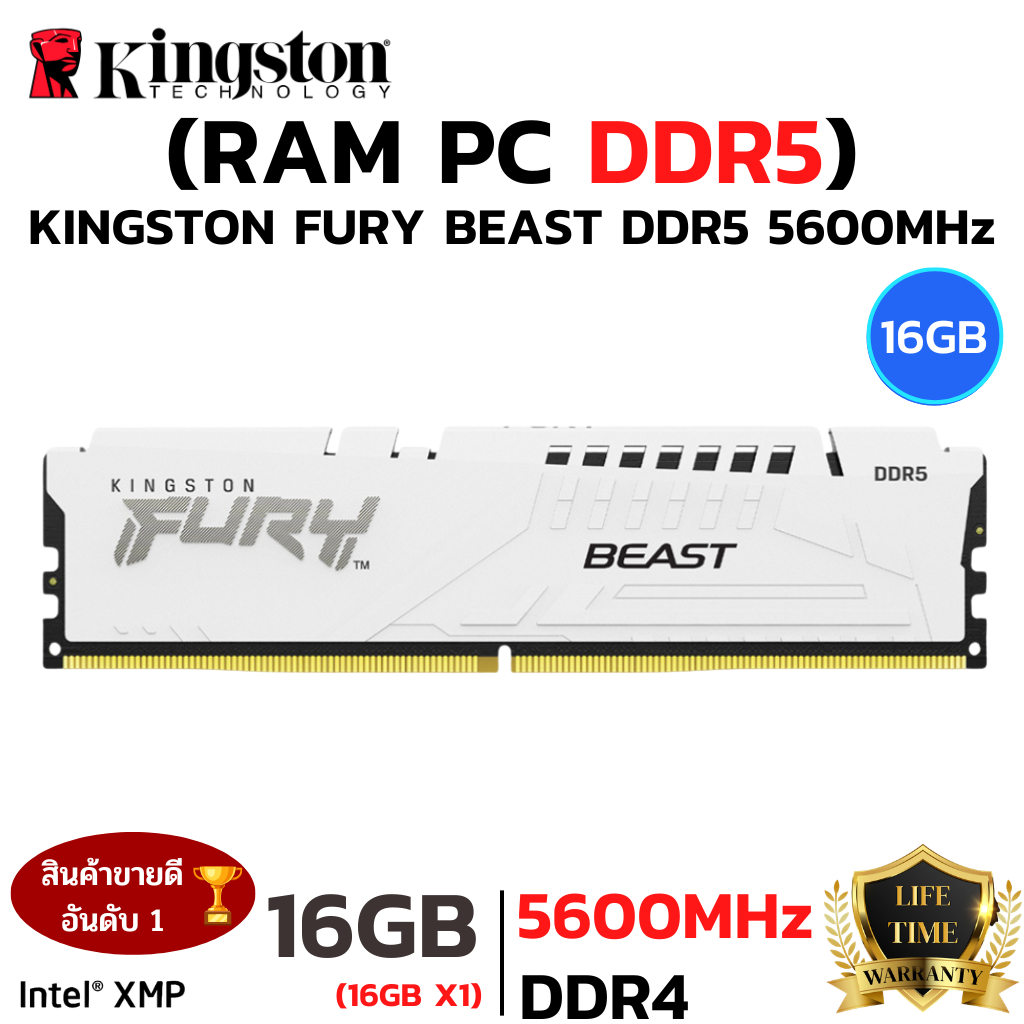 RAM 16GB (16GBx1) DDR5 5600MHz RAM (หน่วยความจำ) KINGSTON FURY BEAST DDR5 (WHITE)