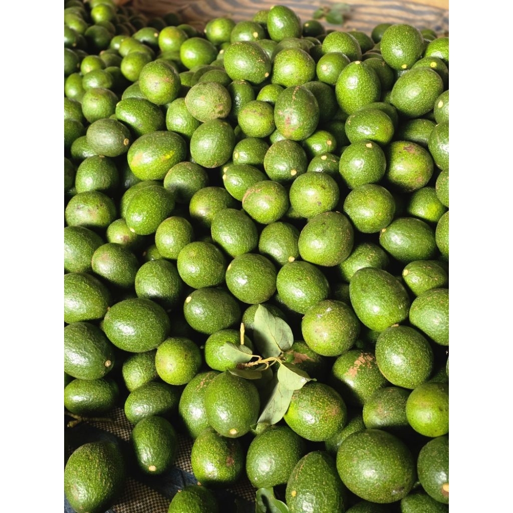 🥑พร้อมส่ง บัคไข่กล่องละ 109 บาท ***กล่องละ3กิโล*** บัคไข่รส