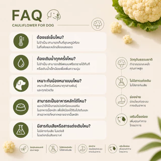 BarknPurr ขนมสุนัขฟรีซดราย ดอกกะหล่ำ Freeze-Dried Cauliflower Dog Treat & Topper Human Grade 26g