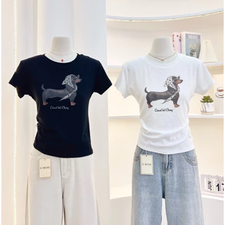 G-rose เสื้อยืดสกรีนลาย