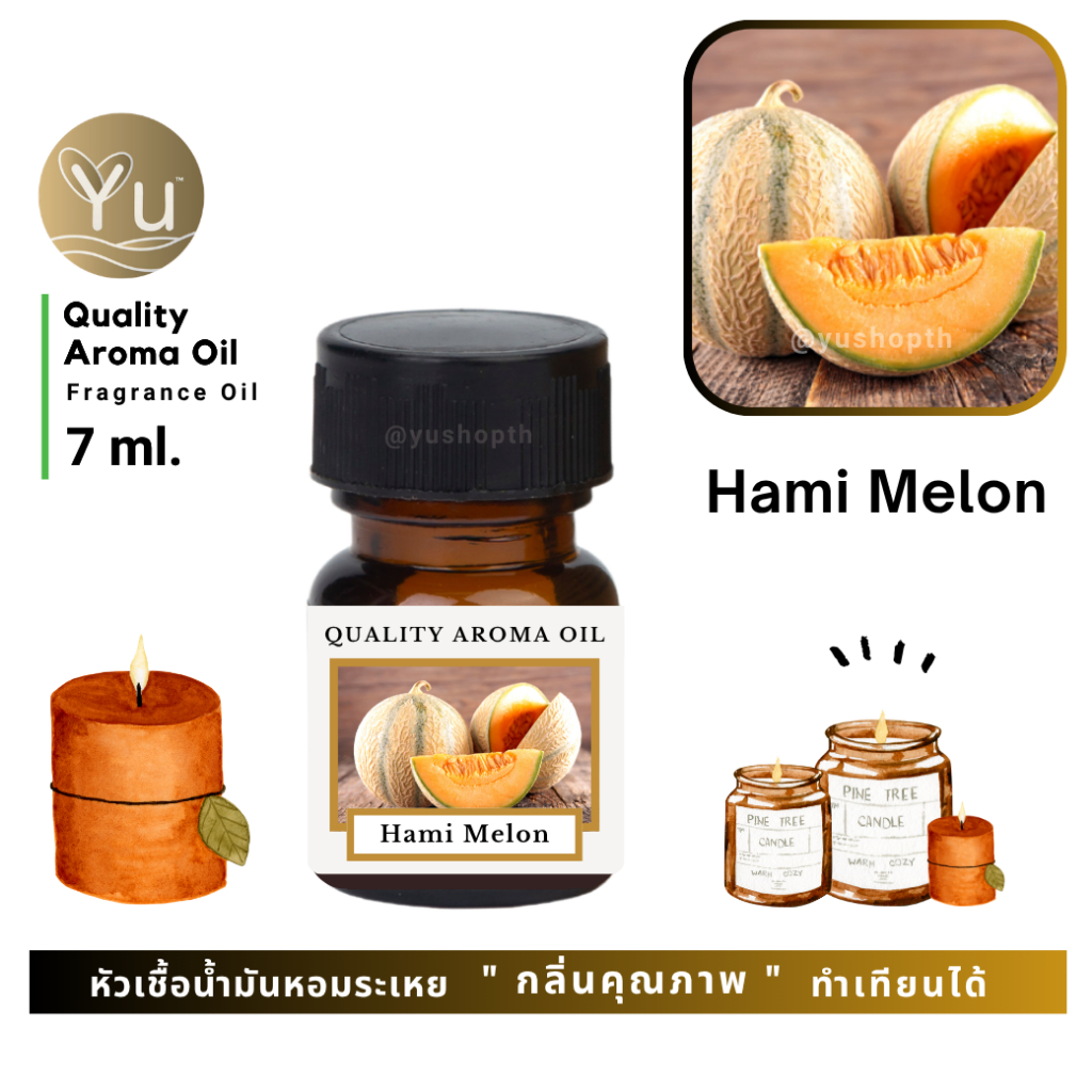 🌟🎁 7 ml. กลิ่น Hami Melon (แคนตาลูป) 🌟หัวเชื้อน้ำมันหอมระเหย กลิ่นคุณภาพ | Quality Aroma Oil 🌟 เลือกกล่องได้ !