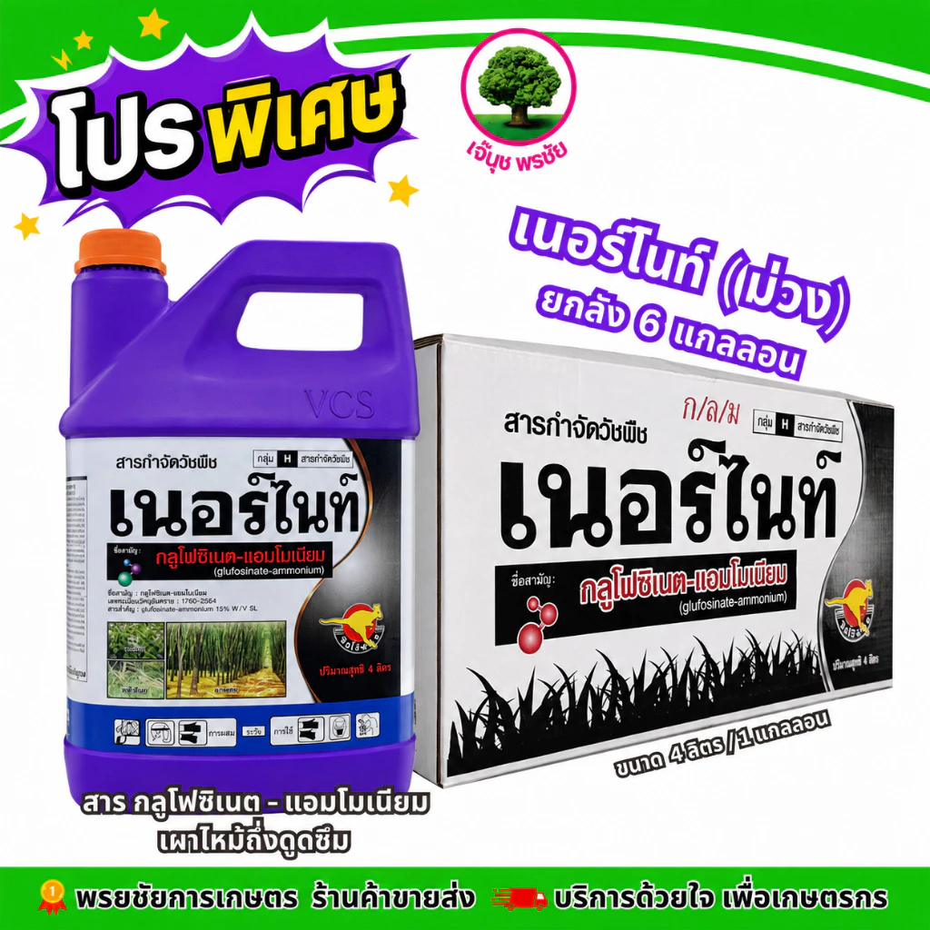 (โปร) เนอร์ไนท์(ม่วง-ยกลัง) ขนาด 4 ลิตร*6แกลลอน