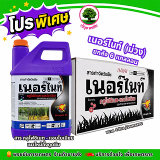 (โปร) เนอร์ไนท์(ม่วง-ยกลัง) ขนาด 4 ลิตร*6แกลลอน