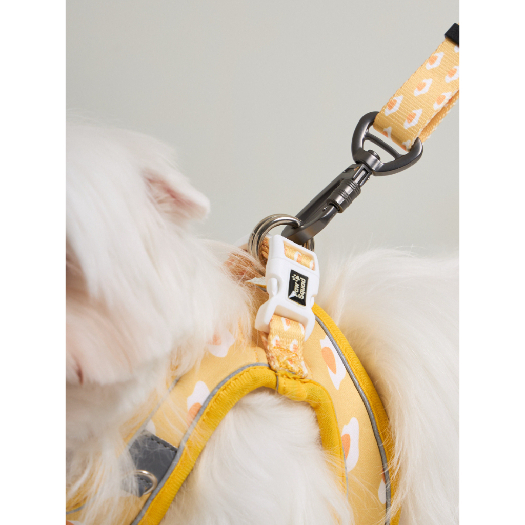 PAWSQUAD Eggy Handsfree Set | เซ็ตชุดรัดอกพร้อมสายจูงสุนัขแมว สายรัดออกและสายจูงหมาแมว ระบายอากาศดี
