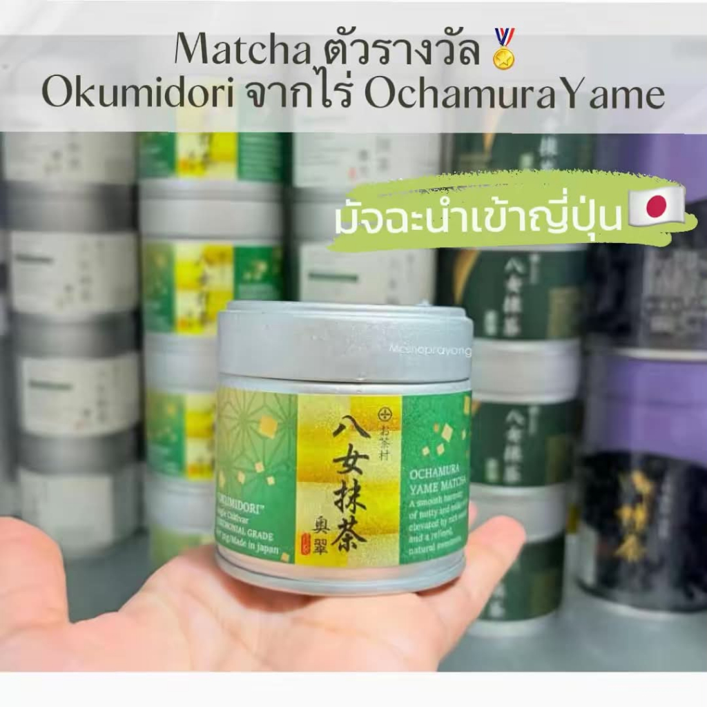 Yame Matcha โทนถั่ว - Ochamura ผงมัทฉะเกรดพิธีการพร้อมส่ง