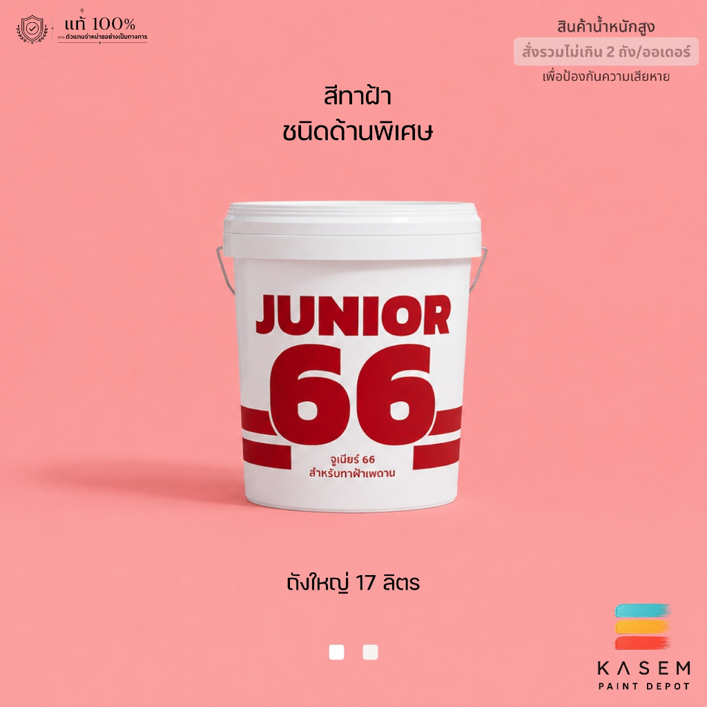 Nippon Paint Junior 66 สีทาฝ้าเพดาน นิปปอน จูเนียร์ 66 ชนิดด้าน 17 ลิตร ลดแสงสะท้อน