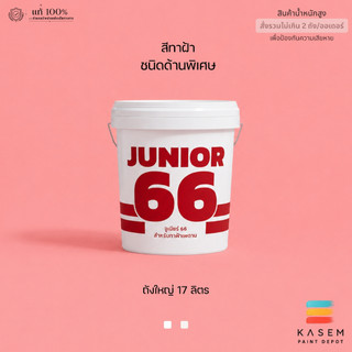 Nippon Paint Junior 66 สีทาฝ้าเพดาน นิปปอน จูเนียร์ 66 ชนิดด้าน 17 ลิตร ลดแสงสะท้อน
