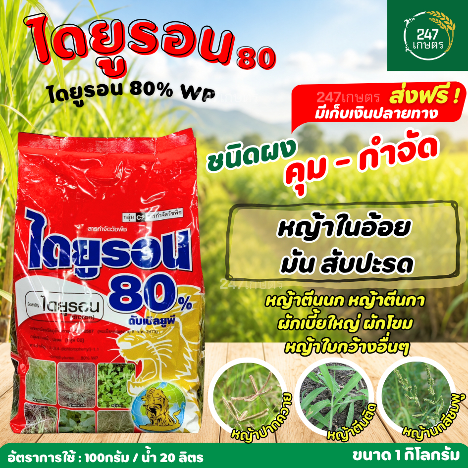 ไดยูรอน 80 % 1 กก. ดับเบิลยูพี WP สิงห์ลูกโลก กำจัดคุมวัชพืช ก่อนและหลังงอก หญ้าตีนนก หญ้าตีนกา หญ้านกสีชมพู หญ้าปากควาย