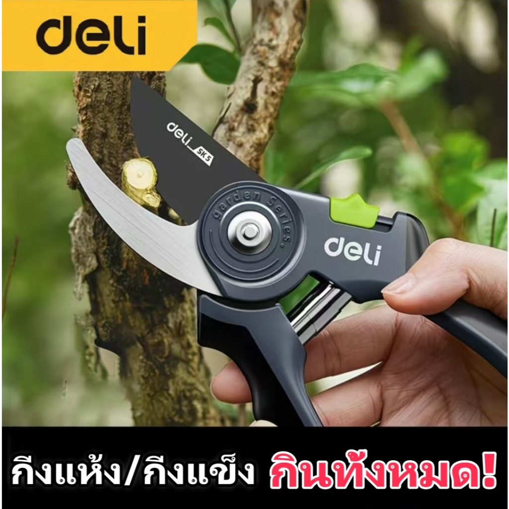 Deli กรรไกรตัดแต่งกิ่งกรรไกรตัดแต่งกิ่งดอกไม้ในสวนพิเศษสำหรับตัดแต่งกิ่งไม้ผล