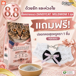 [ ของสมนาคุณ ] ตุ๊กตาพรีเมี่ยม โปรโมชั่น ซื้อทรายแมว ZCM01 ZANDY CAT ขนาด 12L