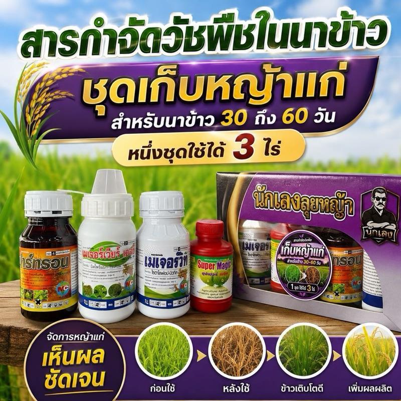 ชุดเก็บหญ้าแก่ นักเลงลุยหญ้า 1ชุด ต่อน้ำ200ลิตร พ่นได้3ไร่ สำหรับนาข้าว 30-60วัน