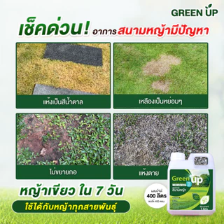 Green up บำรุงหญ้า เร่งหญ้าเขียว แก้หญ้าเหลือง ปุ๋ยสนามหญ้า สำหรับหญ้าทุกสายพันธุ์ ใบเขียว แข็งแรง