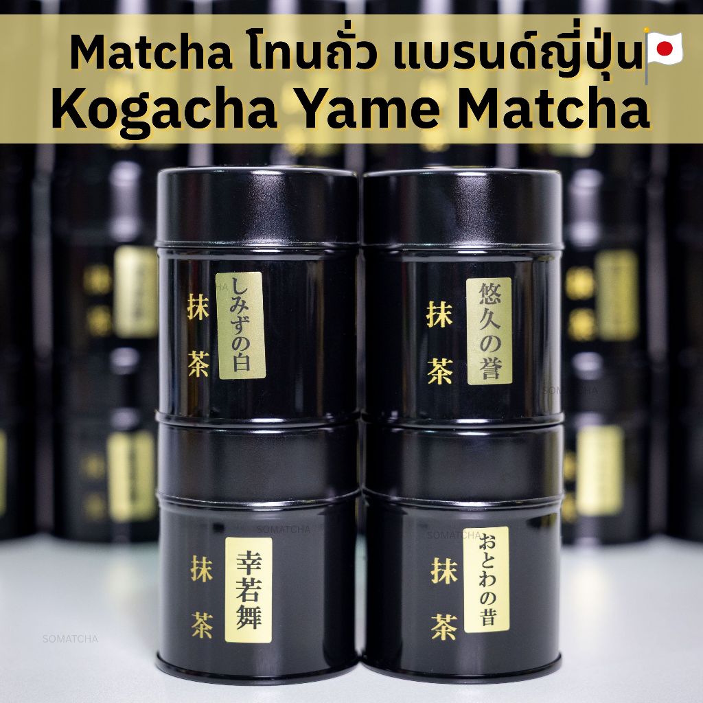 Kogacha Yame Matcha 20g มัทฉะยาเมะ ถั่วชัดดด 4 รุ่น Otowa / Kouwakamai / Shimizu / Yukyu