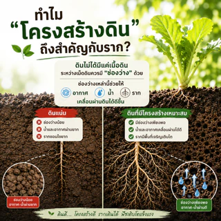 ไบโอชาร์ปรับโครงสร้างดิน พร้อมใช้ ชาร์จจุลินทรีย์จาวปลวก + จุลินทรีย์สังเคราะห์แสง (PSB) ช่วยให้ดินโปร่ง อุ้มน้ำ