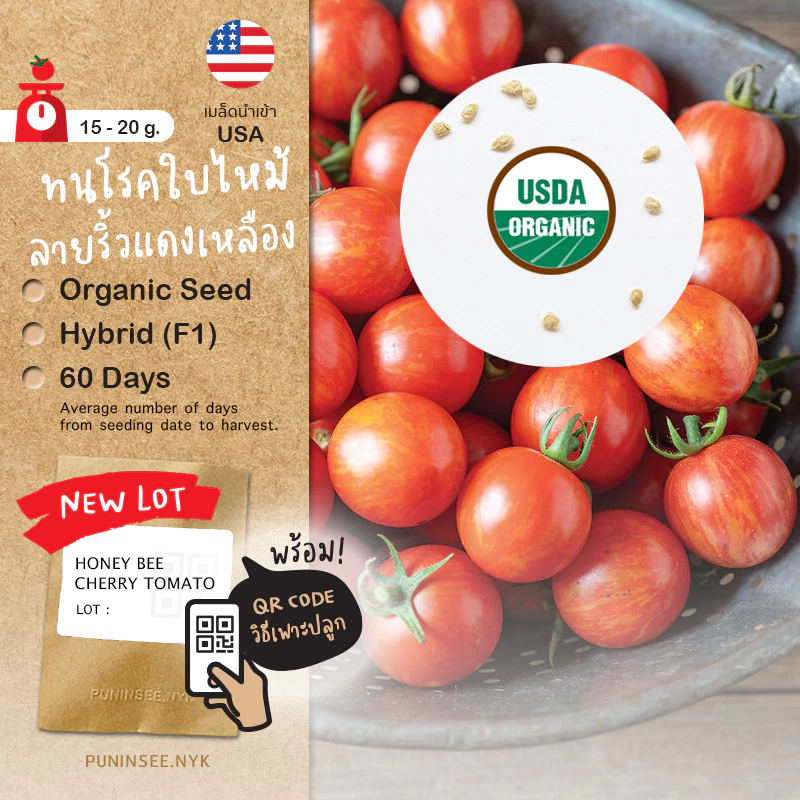 เมล็ดนำเข้า มะเขือเทศเชอรี่ รสเยี่ยม ลายริ้ว Honey Bee (Organic F1) Cherry Tomato พันธุ์ลูกผสม ปันอินทรีย์