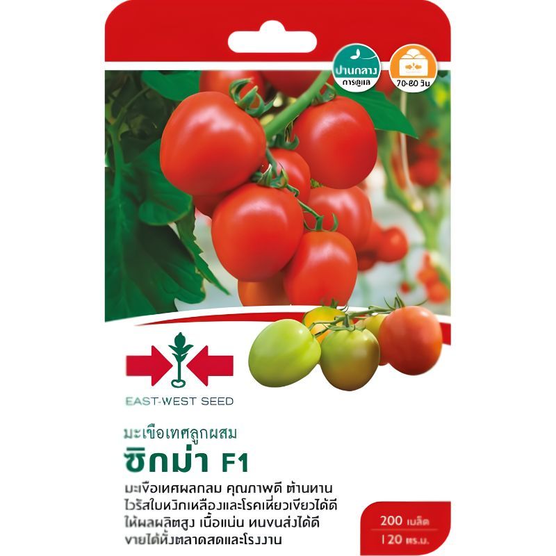 เมล็ดพันธุ์ มะเขือเทศ ซิกม่า F1 ตราศรแดง
