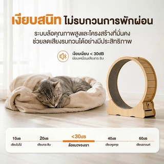 L&Q ลู่วิ่งแมว ที่ออกกำลังกายสัตว์เลี้ยง ออกกำลังกาย ขนาดใหญ่ cat wheel ของเล่น Pet treadmill