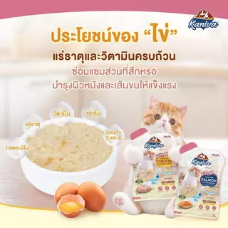 Kaniva คานิว่า อาหารเปียก เนื้อปลาทูน่า Vitamin Balls ทานได้ทุกช่วงวัย 35-70g*12 ซอง