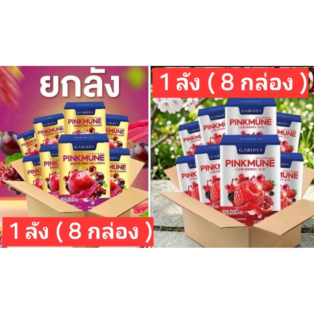 การิสต้าพิ้งมูเน่ (ผลิตภัณฑ์เสริมอาหาร)