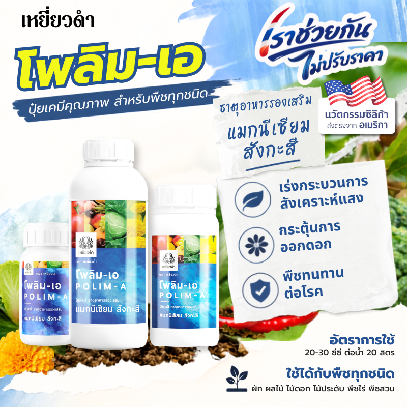 [ปุ๋ยน้ำรวมแม็กนีเซียม สังกะสีและรองเสริม] พืชโตอย่างแตกต่าง แก้ใบเหลือง ใบแก้ว เร่งใบแก่ โพลิม-เอ ปุ๋ยเหยี่ยวดำ