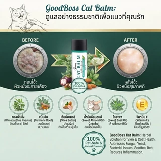 EELJOY Cat Balm บาล์มเเท่งสำหรับเเมว เชื้อรา ยีสต์ ลดอาการคัน ขนร่วง ผลิตภัณฑ์ออแกนิค ขนาด 5 กรัม