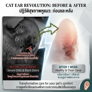 EELJOY Cat Balm บาล์มเเท่งสำหรับเเมว เชื้อรา ยีสต์ ลดอาการคัน ขนร่วง ผลิตภัณฑ์ออแกนิค ขนาด 5 กรัม