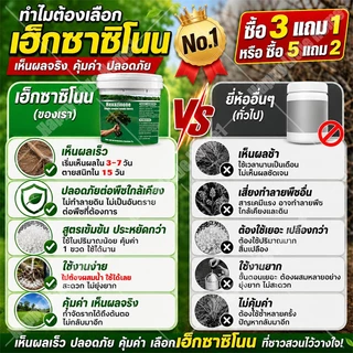 🛡️100% รากไม้เน่า ยาฆ่าต้นไม้ใหญ ยาฆ่าตอไม้ สารกำจัดกอไผ่ ตรงไปที่ราก กำจัดวัชพืชรากเน่า ขนาด 500g