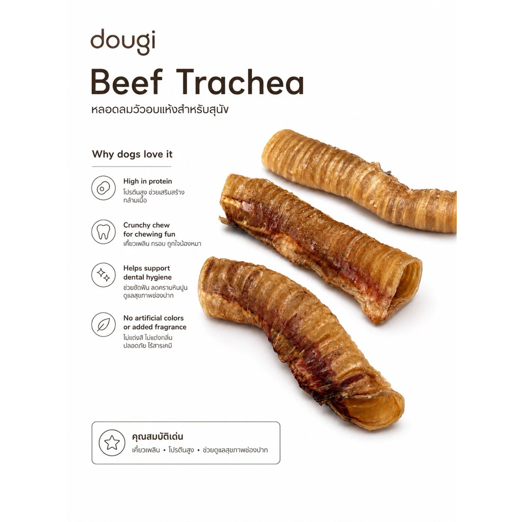 หลอดลมวัวอบแห้ง Beef Trachea ขนมขัดฟัน ไร้สารปรุงแต่ง100% Dougi.co โดจิ