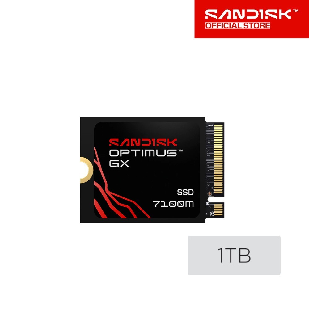 SANDISK Optimus GX 7100M NVMe™ SSD M.2 2230 1TB