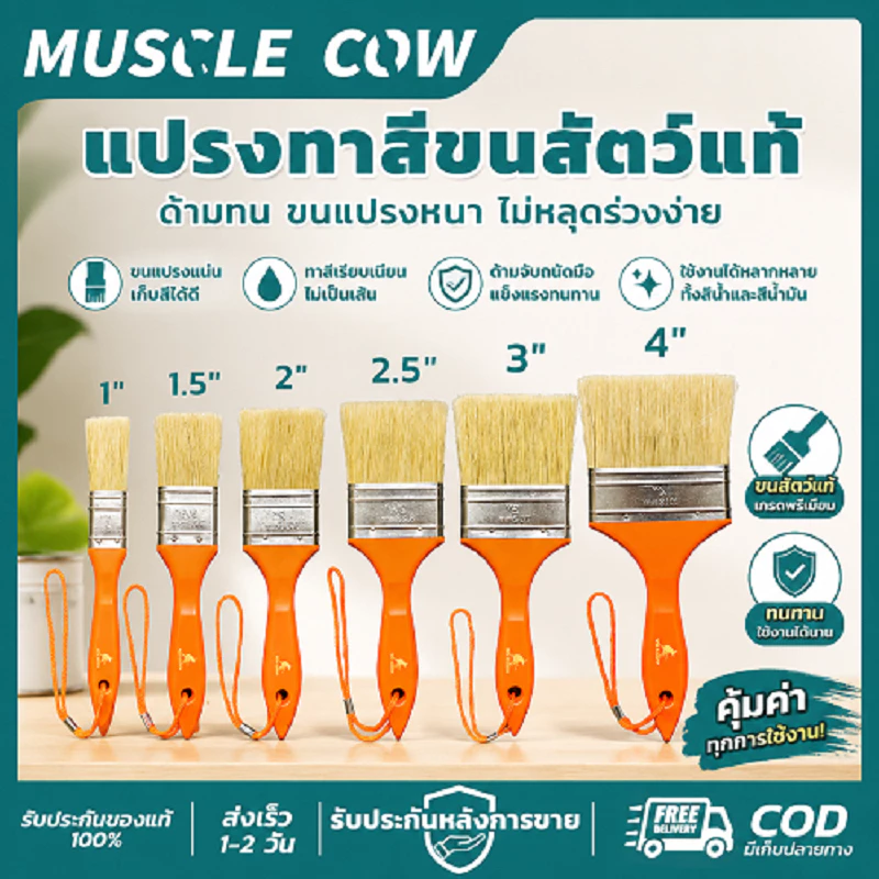 MUSCLE COW แปรงทาสีขนสัตว์แท้ 1-4" ด้ามทน ขนแปรงหนา ทาสีเรียบ ทนทาน สำหรับงานทาสี ตกแต่ง