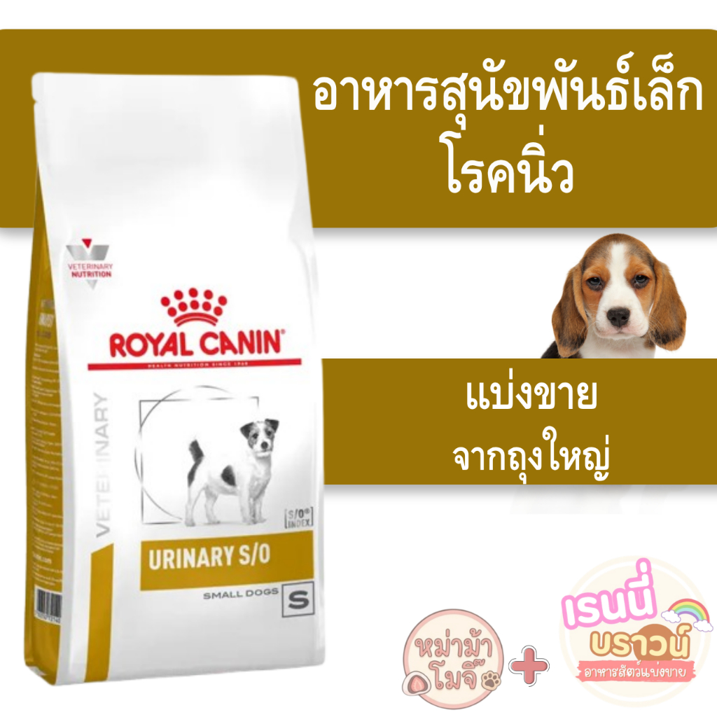 ส่งด่วนทุกวัน [[สุนัขนิ่วเล็ก]] [แบ่งขาย] Royal Canin อาหารสุนัข สูตร Urinary S/O (Small) สำหรับพันธุ์เล็กโรคนิ่ว