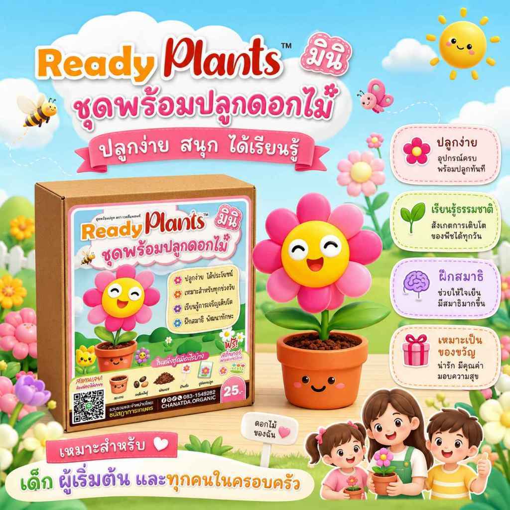 Ready Plants MINI ชุดที่ 3 ชุดพร้อมปลูกดอกไม้ ปลูกง่าย เหมาะสำหรับผู้เริ่มต้น