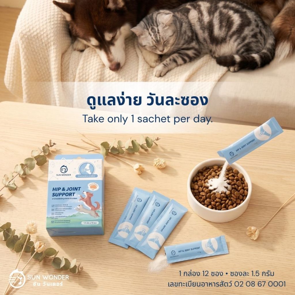 (1 กล่อง/12 ซอง) SUN WONDER HIP&JOINT SUPPORT อาหารเสริมบำรุงข้อต่อ & สะโพก รูปที่ 5