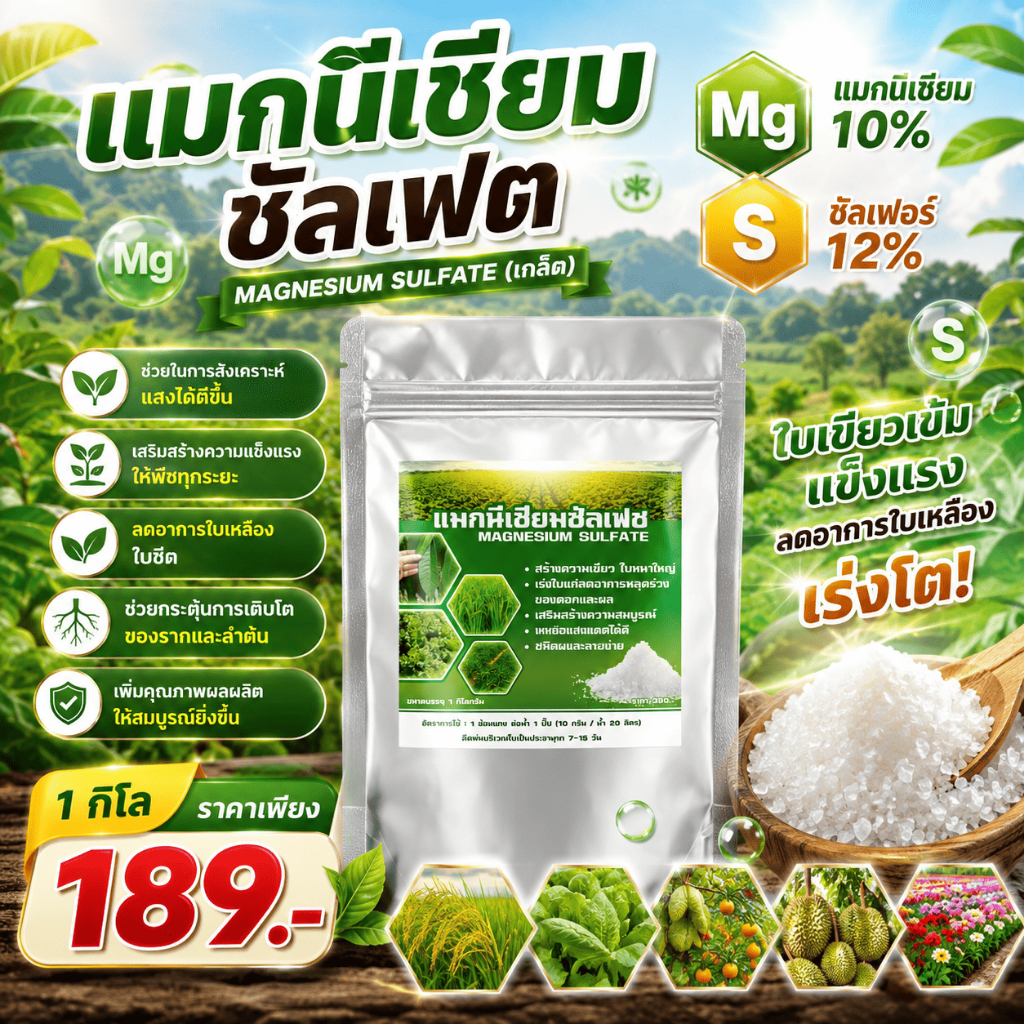 แมกนีเซียมซัลเฟต ขนาด1กิโล แมกนีเซียม10% ซัลเฟอร์12% แมกนีเซียมพืช ใบเขียว ใบหนา เร่งโต แมกนีเซียมผง